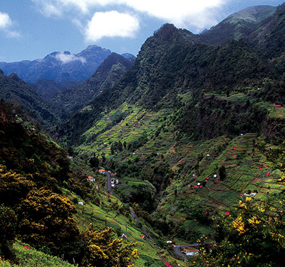 Madeira Zentrum